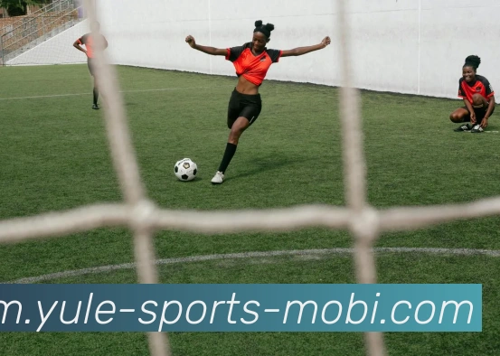 多媒体互动体验