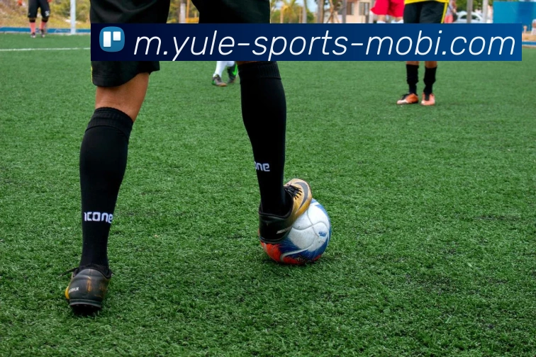 乐鱼体育APP 高清赛事图